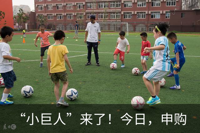 “小巨人”来了！今日，申购