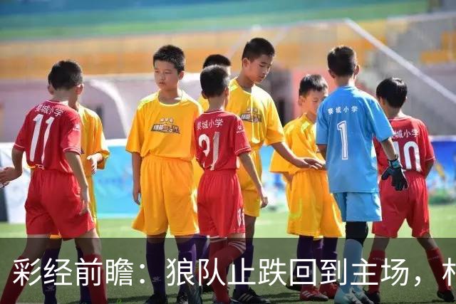 彩经前瞻：狼队止跌回到主场，朴茨茅斯两连胜来势不弱