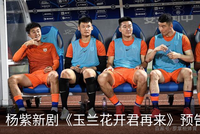杨紫新剧《玉兰花开君再来》预告，方言环境故事代入感好强