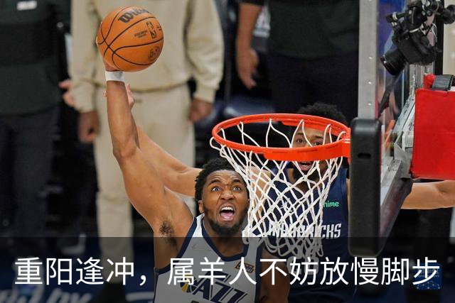 重阳逢冲，属羊人不妨放慢脚步