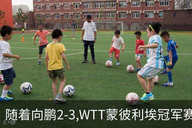 随着向鹏2-3,WTT蒙彼利埃冠军赛男单16强已出15席：仅3名国乒选手