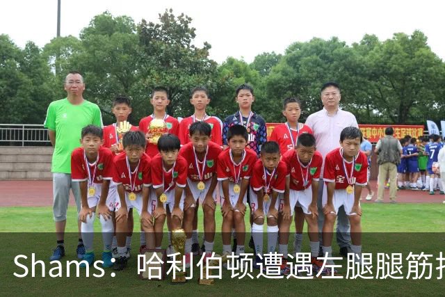Shams：哈利伯顿遭遇左腿腿筋拉伤 将至少缺席两周